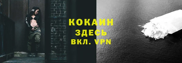 сатива Баксан
