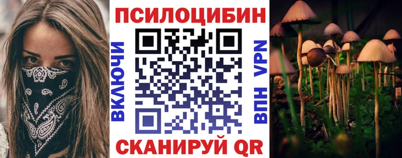 Галлюциногенные грибы прущие грибы  Шенкурск 